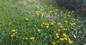 Aroma-turisme rural