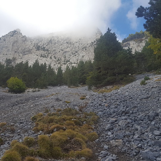 Pedraforca-tartera-bergueda